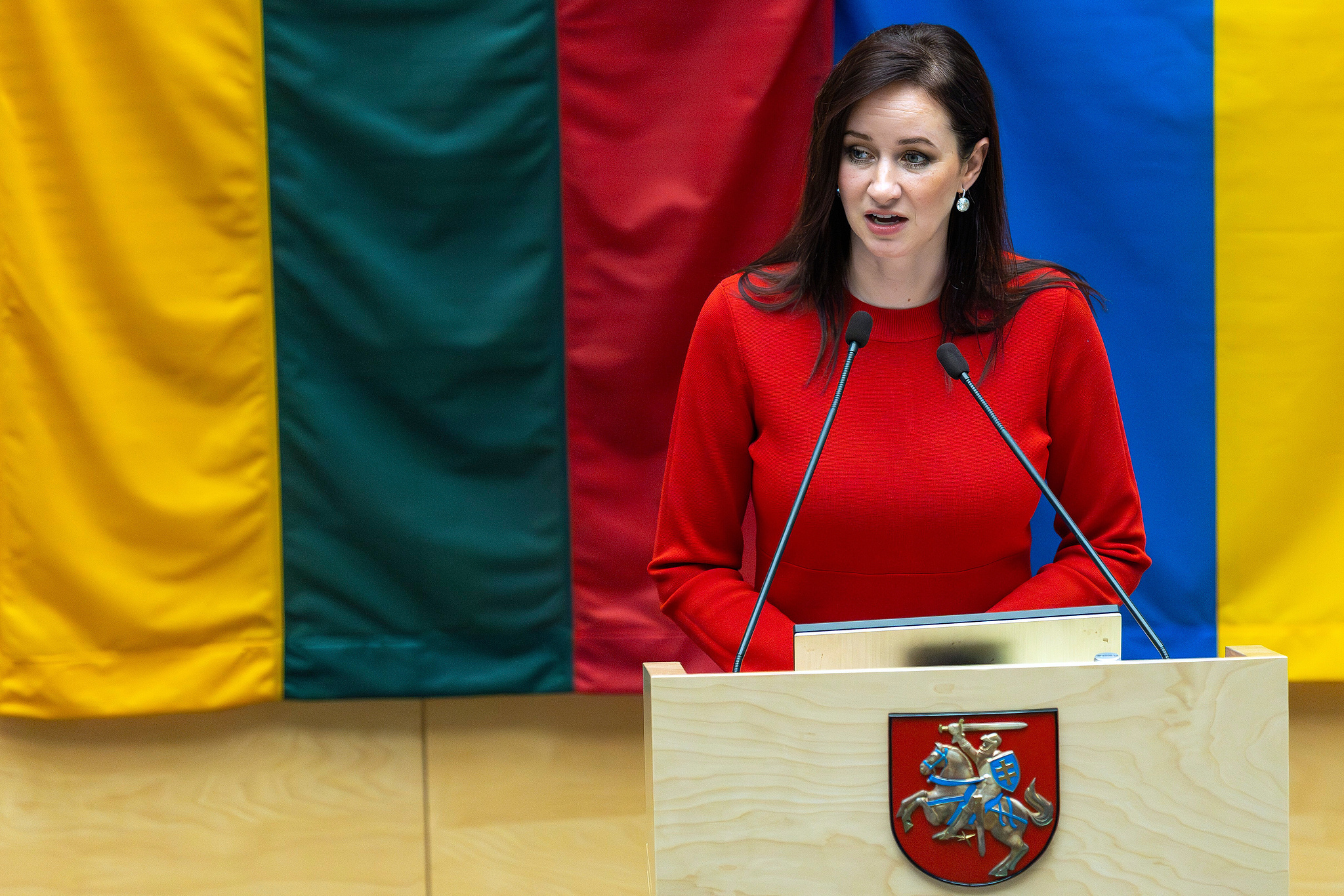 Lithuanian Prime Minister Resigns, Initiates New Government Formation
