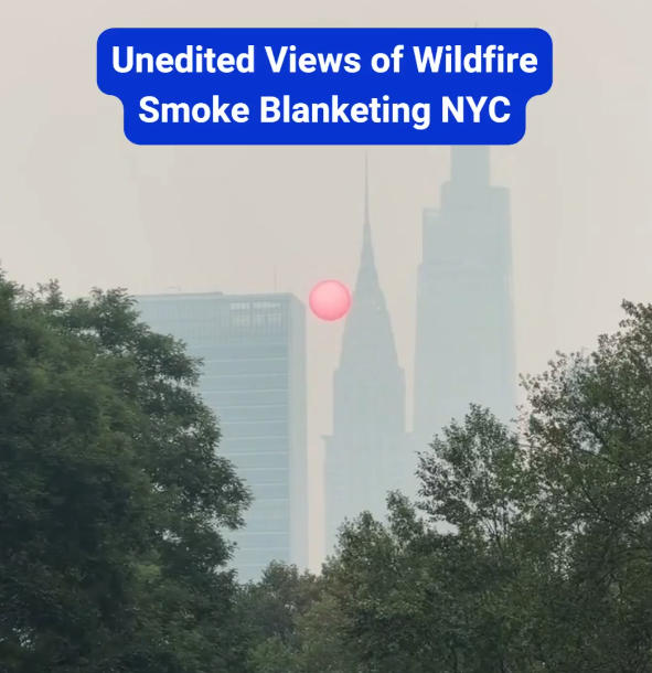 Trump Blames Canadas Forest Management for Wildfire Pollution, Threatens Tariffs