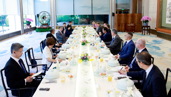 Wang Yi Meets European Parliament Delegation: China-EU Relations Focus on Stability and Cooperation