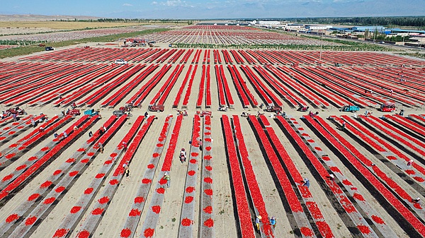 Western Narrative of Decoupling from China Condemned