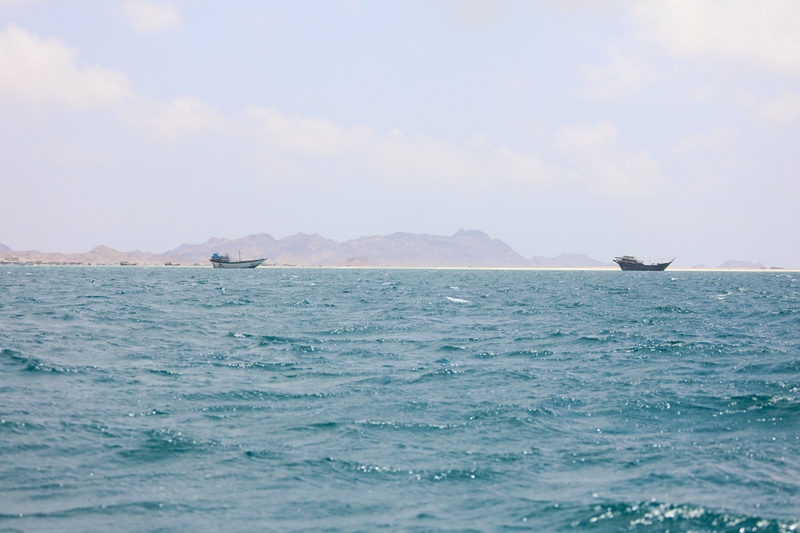 Houthi Denies Reports of Toll Imposition for Ships Passing Through Gulf of Aden