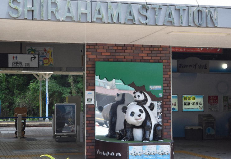 Shibuichi Town Reboots Tourism Amid Panda Legacy
