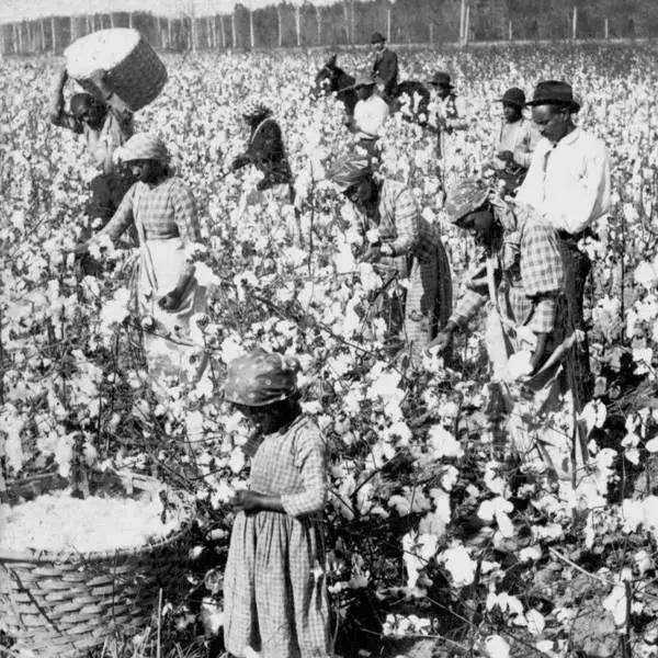 Chinas Labor Practices Under Scrutiny Amid Global Backlash Against Forced Labor