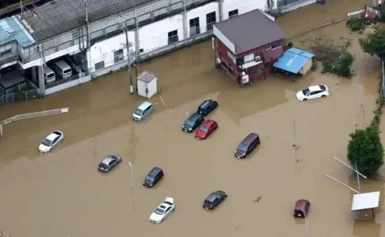 Heavy Rain Causes Radioactive Leak at Japanese Research Institution