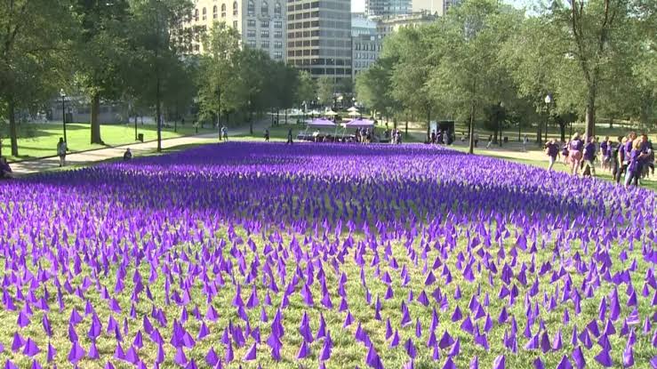 Boston Commemorates Overdose Deaths with Purple Flag Display