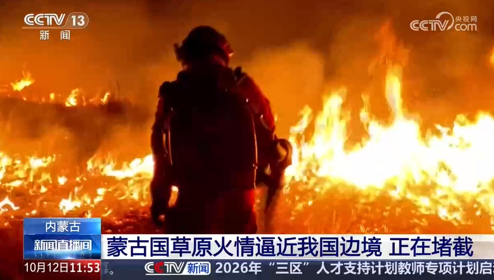 Car Fire Engulfs Mongolian Nature Reserve, Triggering Wildfire Fears