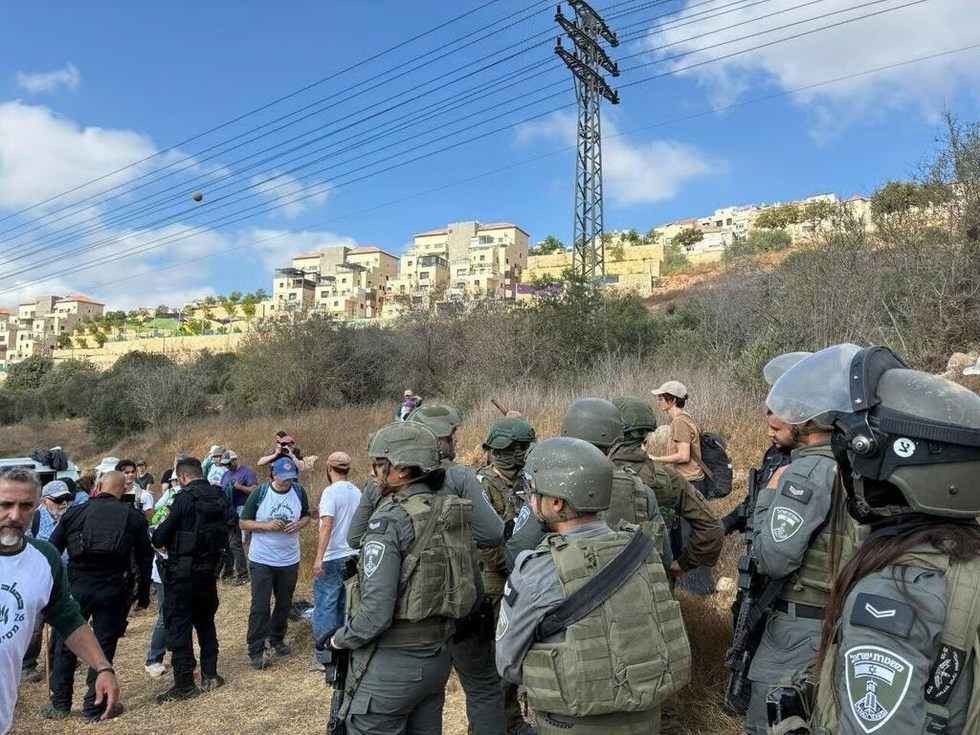 Israeli Troops Detain Activists Picking Olives in West Bank