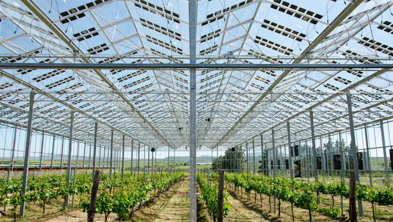 EU Lifts Tariffs on Chinese Solar Glass After Decades-Long Industry Collapse