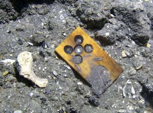 Yuan Dynasty Shipwreck Found Near Eagle Island: Card Games & Kitchen Utensils Unearthed